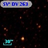 SV* DV   263