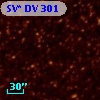 SV* DV   301