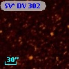 SV* DV   302
