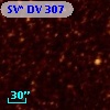 SV* DV   307