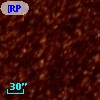 [RP2006] 1223