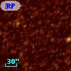 [RP2006] 1231