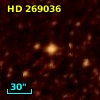 HD 269036