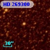 HD 269300