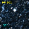 PV   901