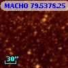 MACHO  79.5378.25