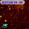 [L72] LH  58-38