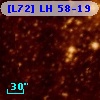 [L72] LH  58-19
