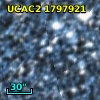 [L63] 131