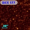 [L63] 177