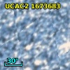 [L63] 196