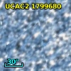 [L63] 204