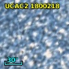 [L63] 217