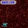 [L63] 219