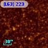 [L63] 223