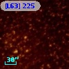 [L63] 225