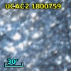 [L63] 226