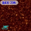 [L63] 238