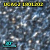[L63] 243