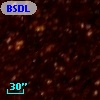 BSDL  489