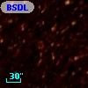 BSDL  585