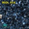 BSDL  616