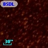 BSDL  910