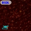 BSDL  925