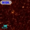 BSDL  944