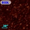 BSDL  955