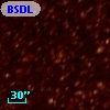 BSDL  960
