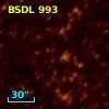 BSDL  993