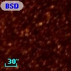 BSDL 1000