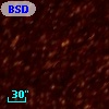 BSDL 1015