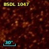 BSDL 1047