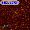 BSDL 1073