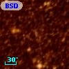 BSDL 1110