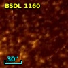 BSDL 1160