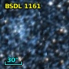 BSDL 1161