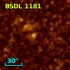 BSDL 1181