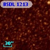 BSDL 1213