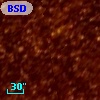 BSDL 1222