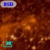 BSDL 1227