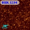 BSDL 1234