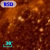 BSDL 1236