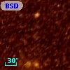 BSDL 1245