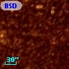 BSDL 1255