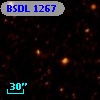 BSDL 1267