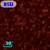 BSDL 1348