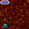 BSDL 1349